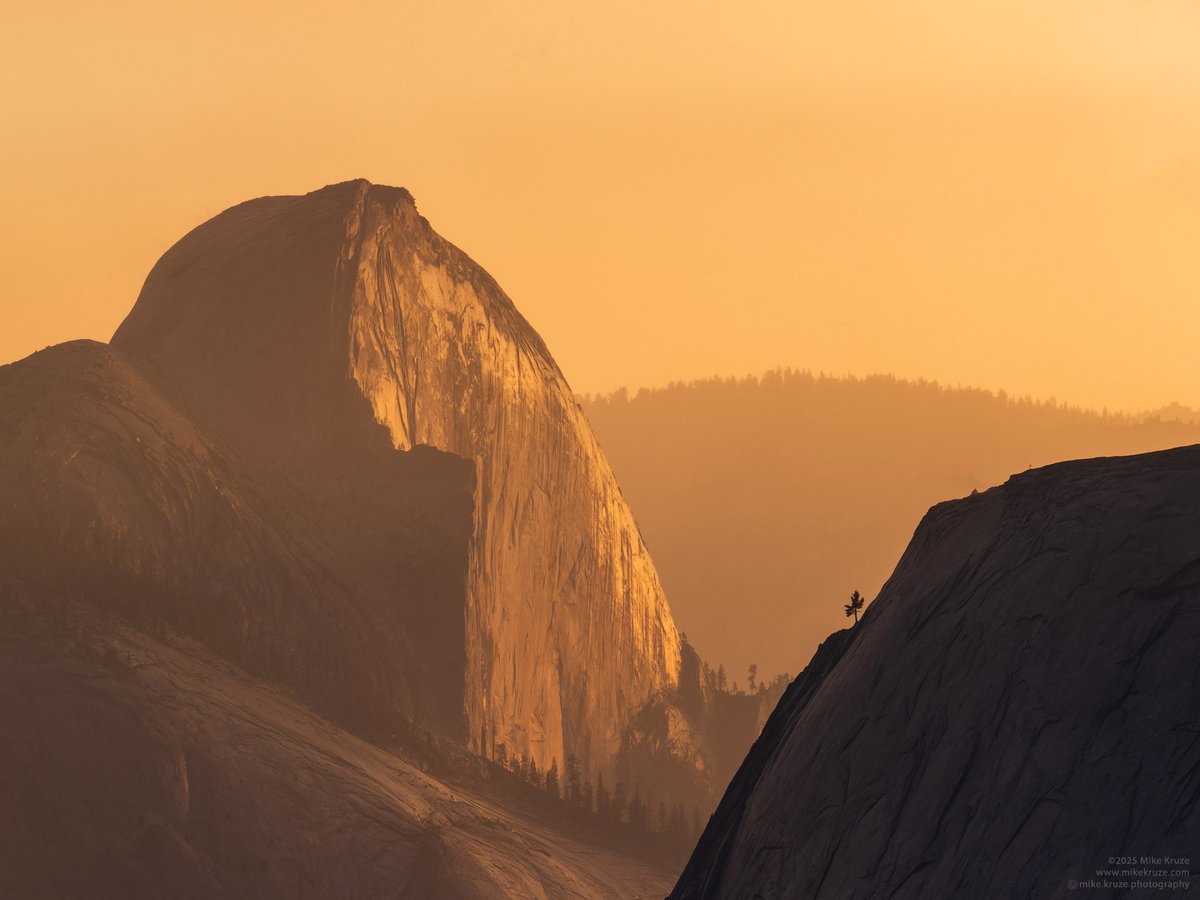 Golden hour at Half Dome- from a late September sunset in the Yosemite high country. I love the lone tree clinging to the cliff to give a sense of scale.