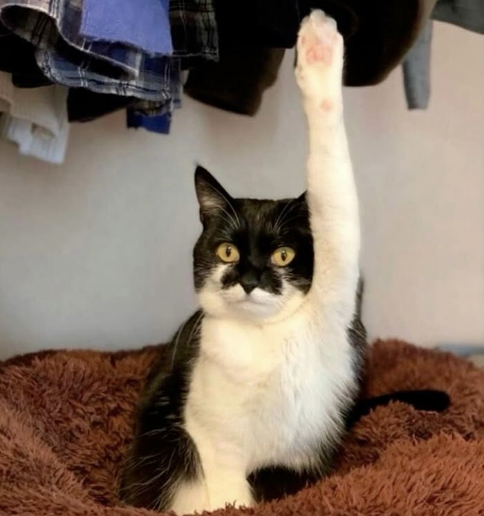 amber (@ambberjewel) on Twitter photo 