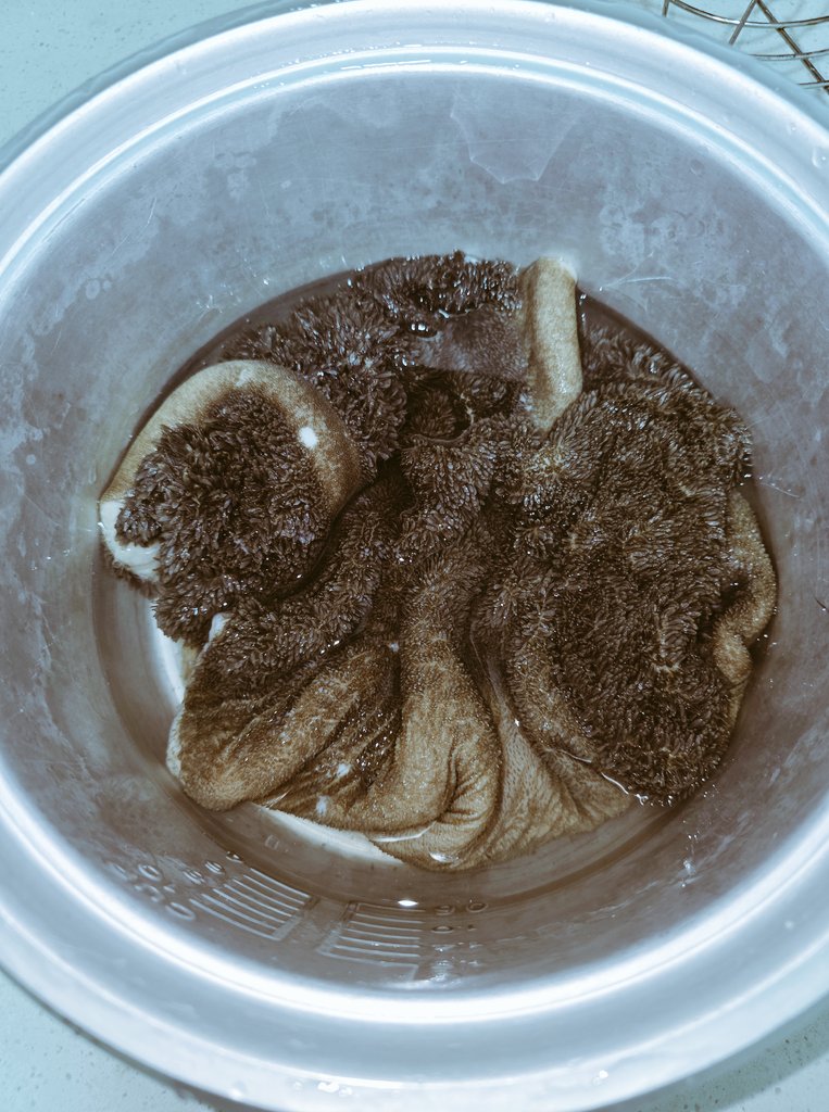 TsuubvuuBone's tweet image. TL asleep , let me wash these blankets. 

#weekendmeals
