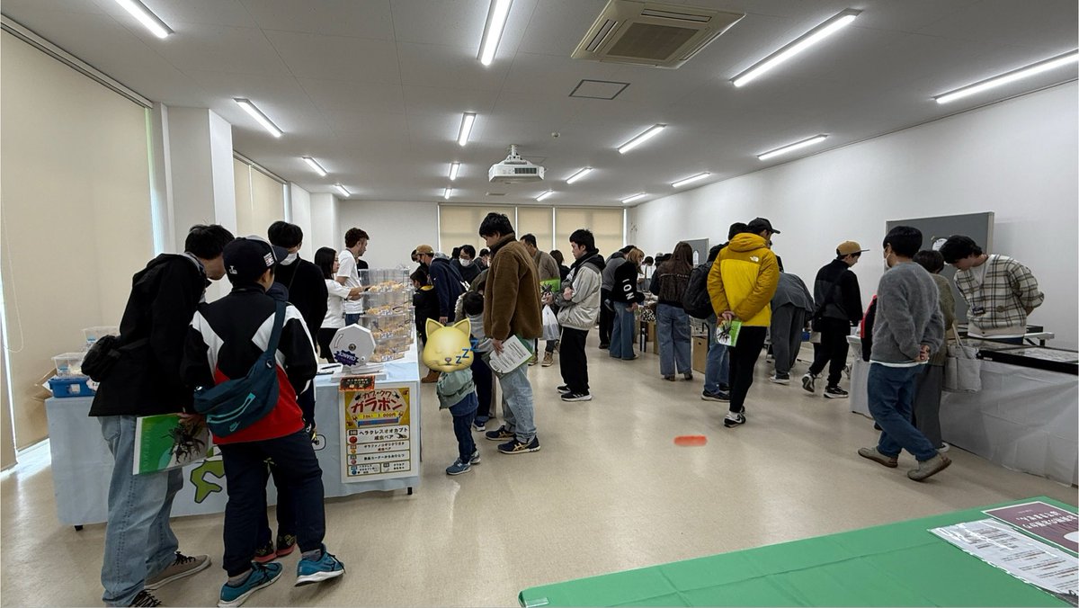 コーヘー (@k33384589) / Posts / X