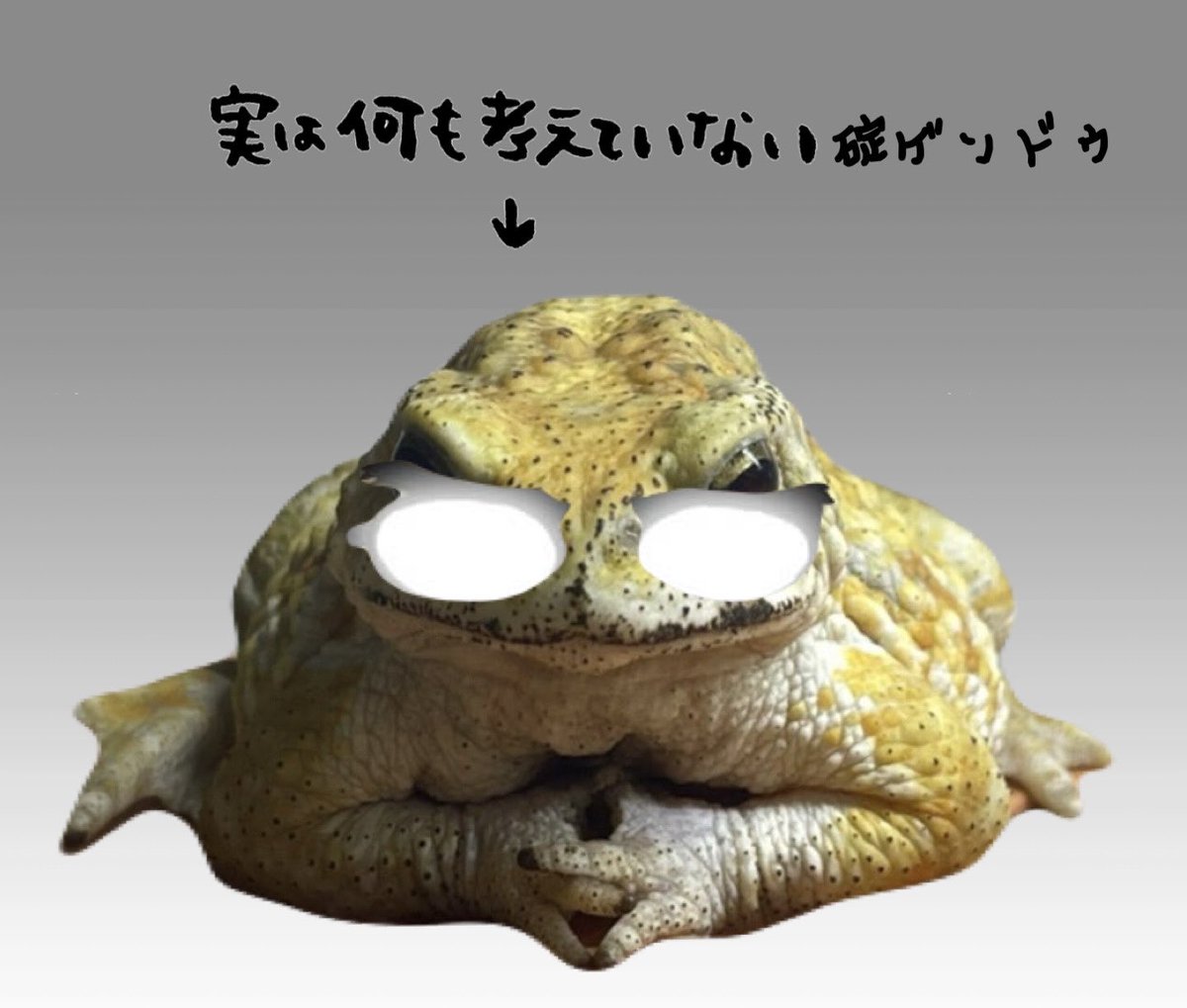 フカミドリカエルページ ごもら on X