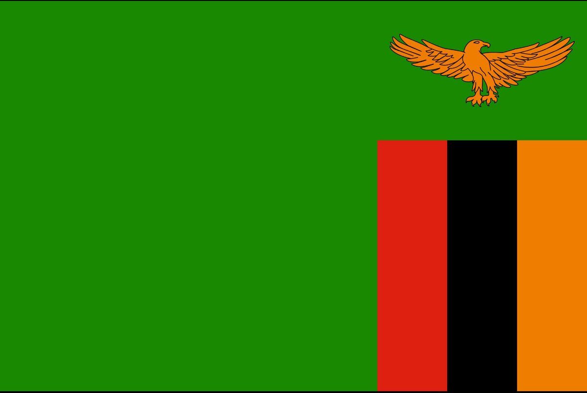 drkondwani's tweet photo. @meeniecheta The Flag.                                 The Face. https://t.co/sekb72PvML