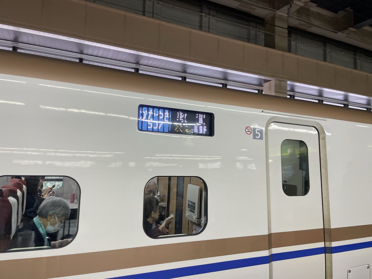 クマのたんのう 熊の胆嚢