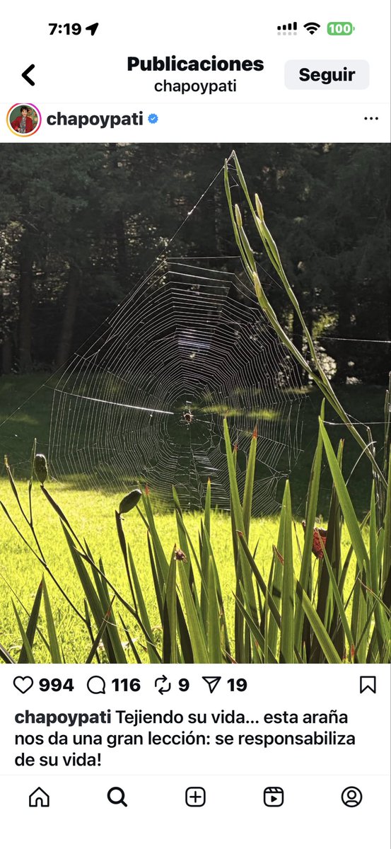 Así deberías responsabilizarte <a href="/ChapoyPati/">Pati Chapoy</a> de tanta porquería q tapaste al cerdo q fue muy amigo tuyo !! Tal cual una araña te da la lección