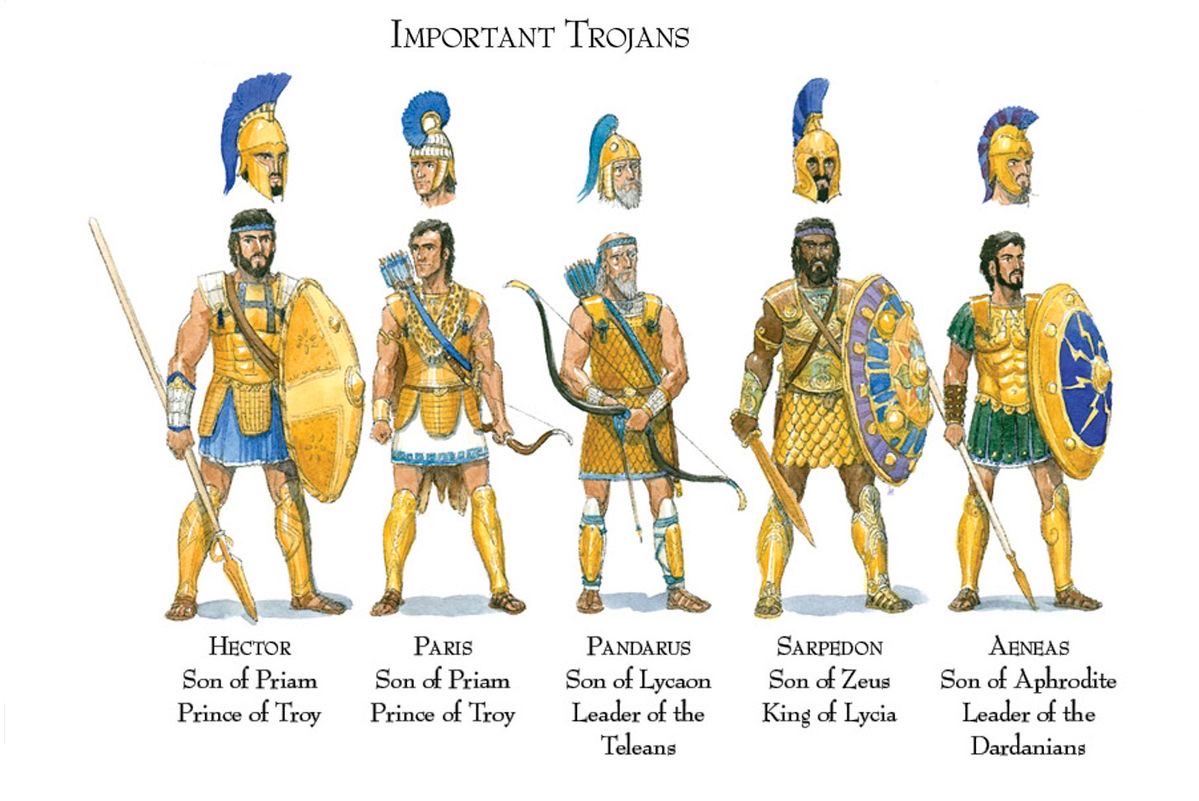 🏛 𝐒𝐭𝐞𝐯𝐞𝐧 🏛 tweet media