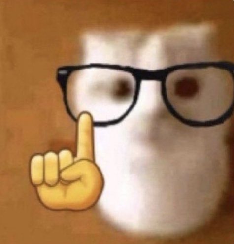 "놉놉." "안됀는것은안돼는것." (티니 눈앞에 검지손가락을 가져다되고 흔들며) "놉놉." "안됀는것은안돼는것." (티니 눈앞에 검지손가락을 가져다되고 흔들며) "놉놉." "안됀는것은안돼는것." (티니 눈앞에 검지손가락을 가져다되고 흔들며)