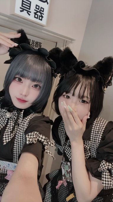 キャットウォーク Catwalkのツイート