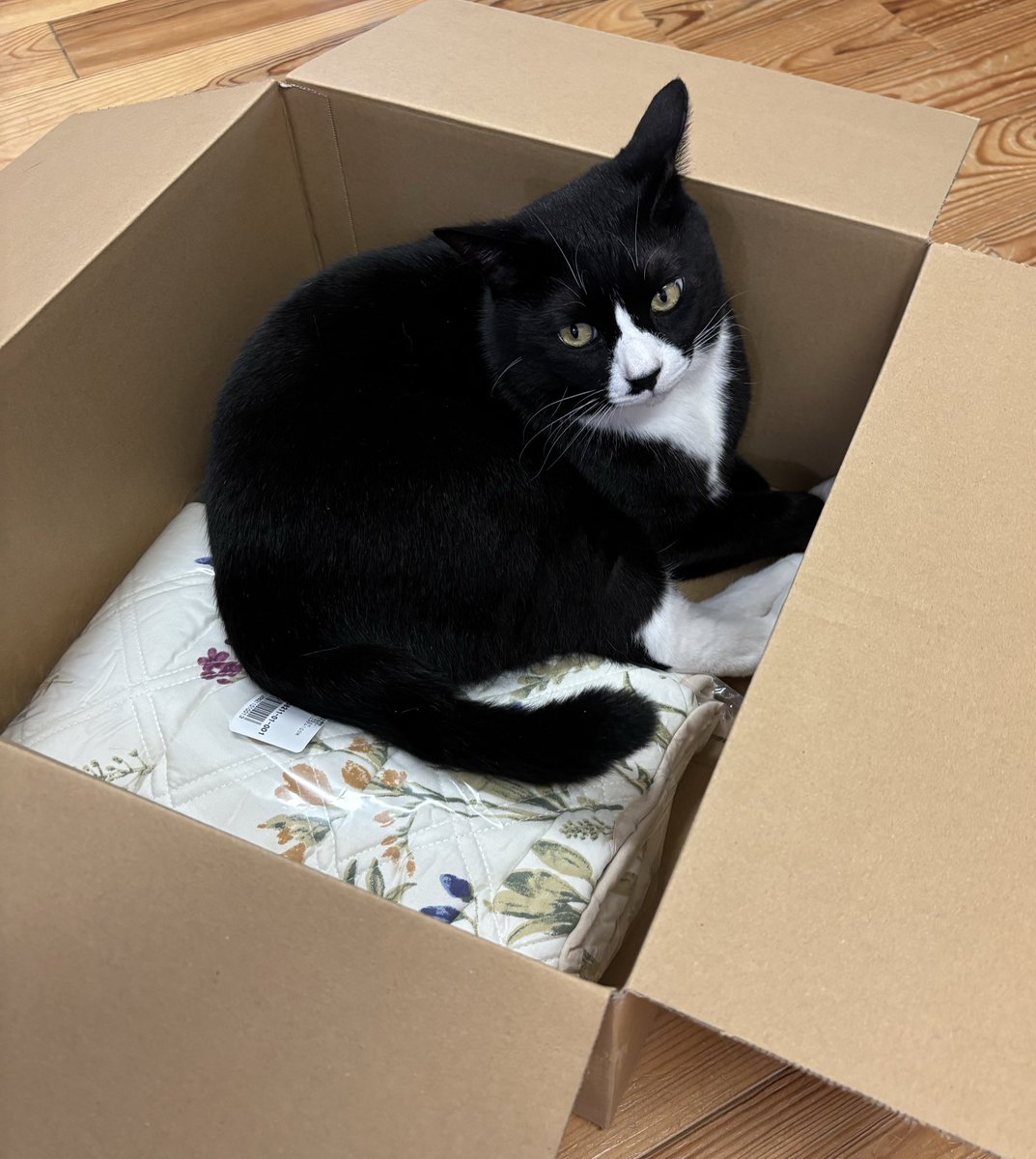 Estkuroki23ページ onegravity / TATSUYAOCONOGI® チャンキーミッドカット