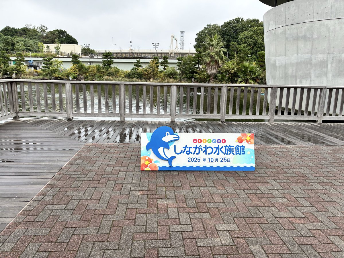 ツバサ໒꒱ on X