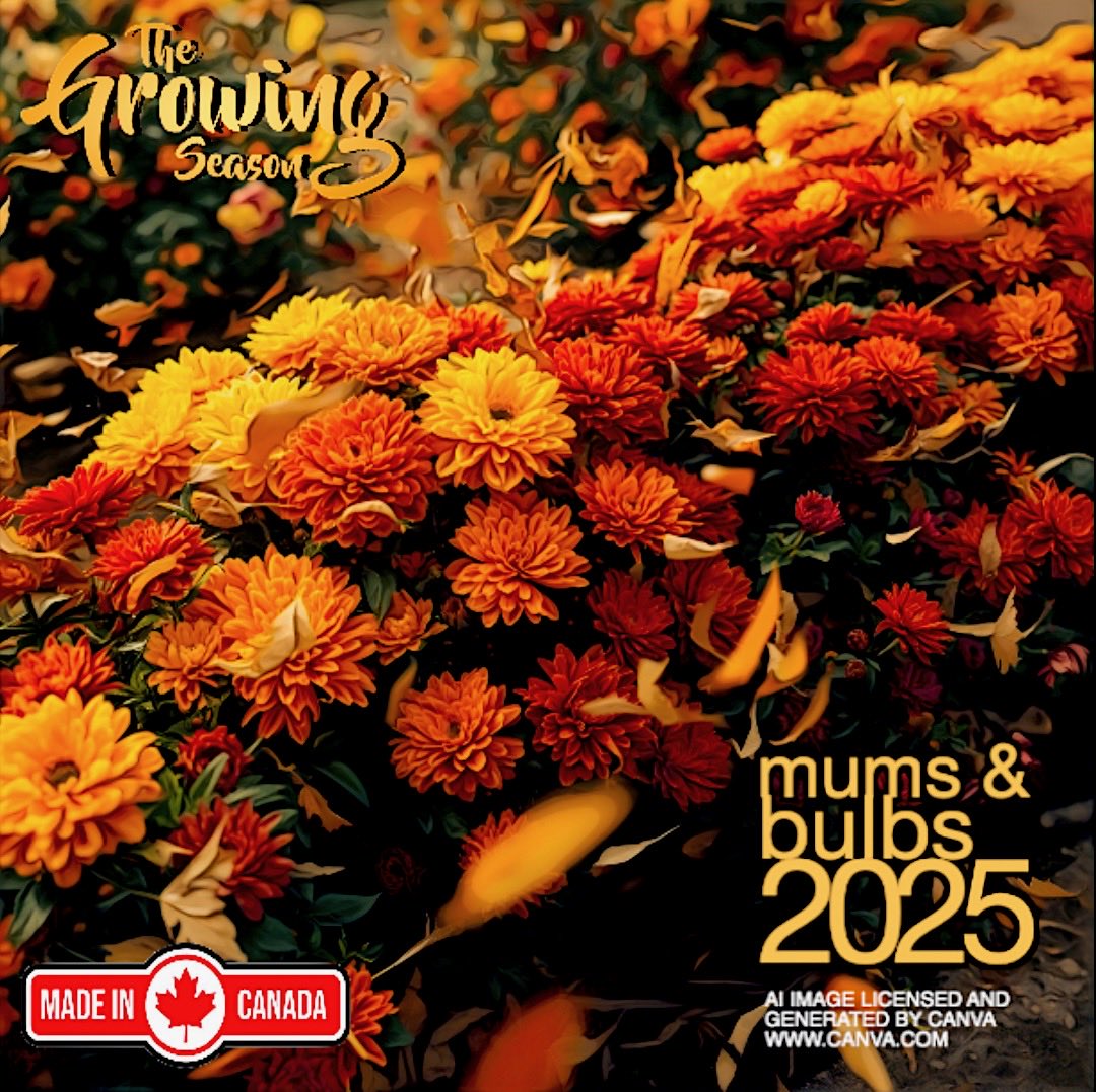 This fall let’s decorate our homes with colourful mums and also let’s plant some of our favourite bulbs for next spring’s extravaganza.   Join The Growing Season for their Mums and Bulbs Show 2025 on October 25 at 12:00pm. @Sauga960am.. Happy Halloween!  growingseasoncanada.com
