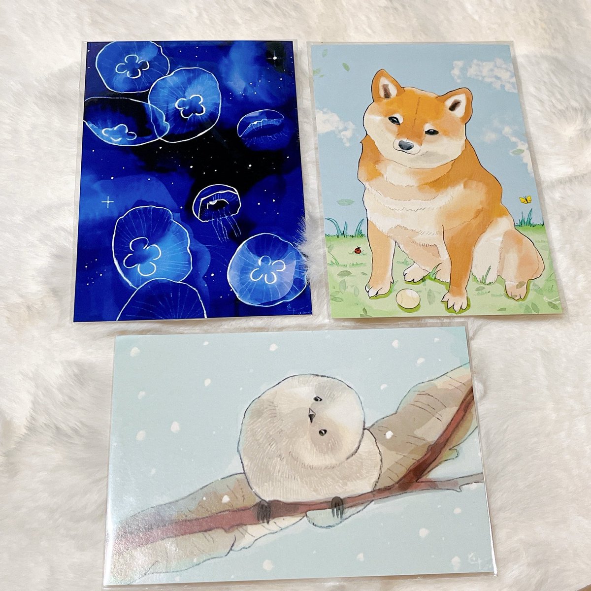 ☆たま☆T&A様 たま(たまの文具屋さん） on X