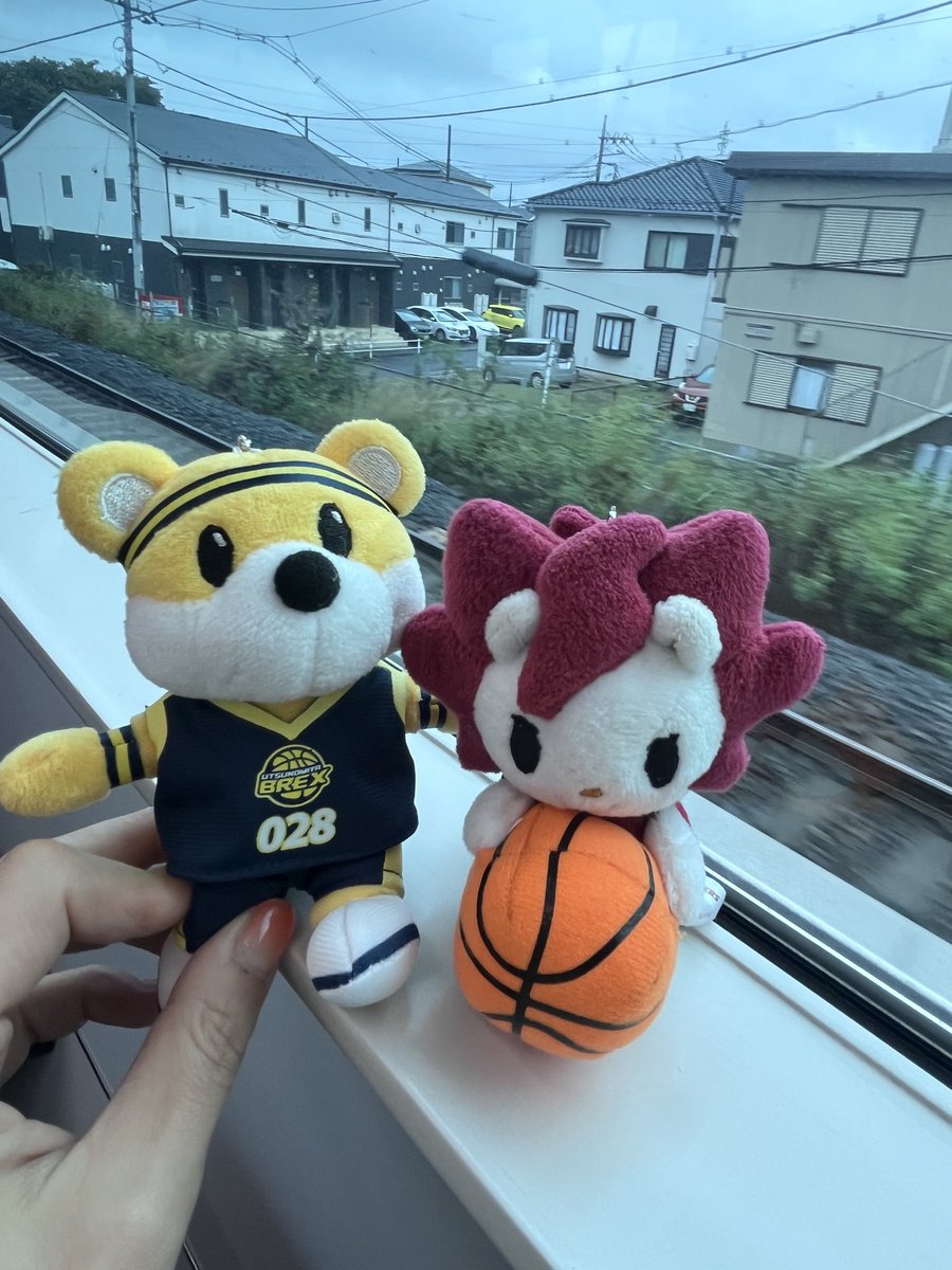 さりー様 サリーさま サリー様 サリー ZX Fury 名作を融合した最後の