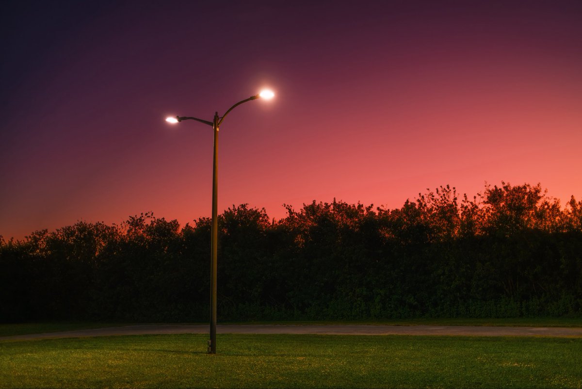 Scenes from a movie about nothing.