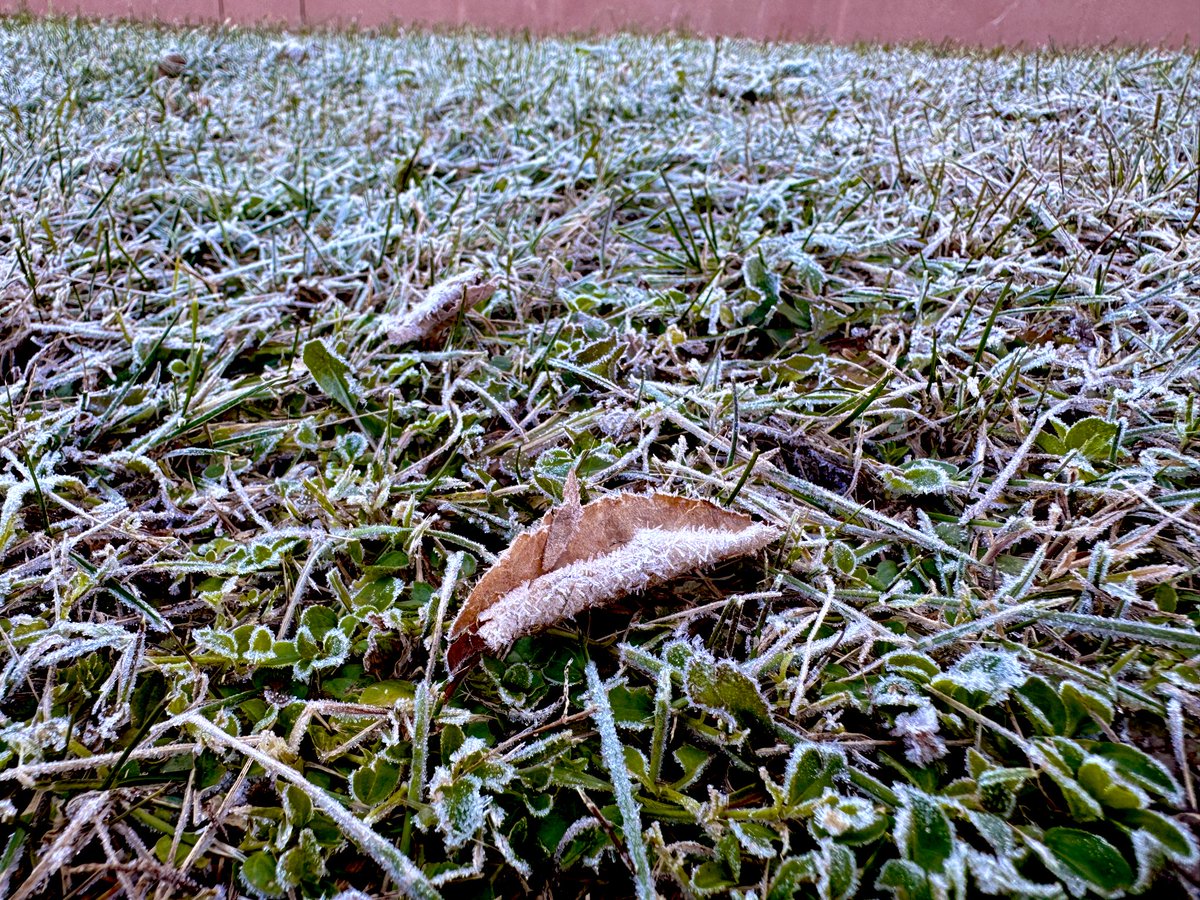 しむかっぴー😷 on X