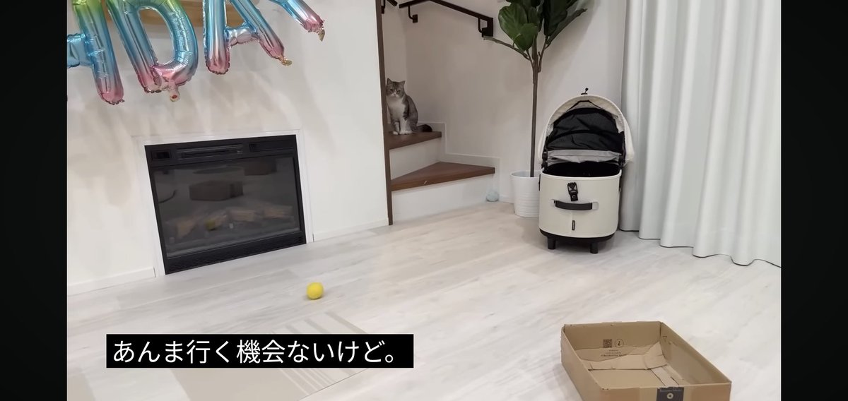 フォウ (@EMs5B5rXk3nxWbS) / Posts / X