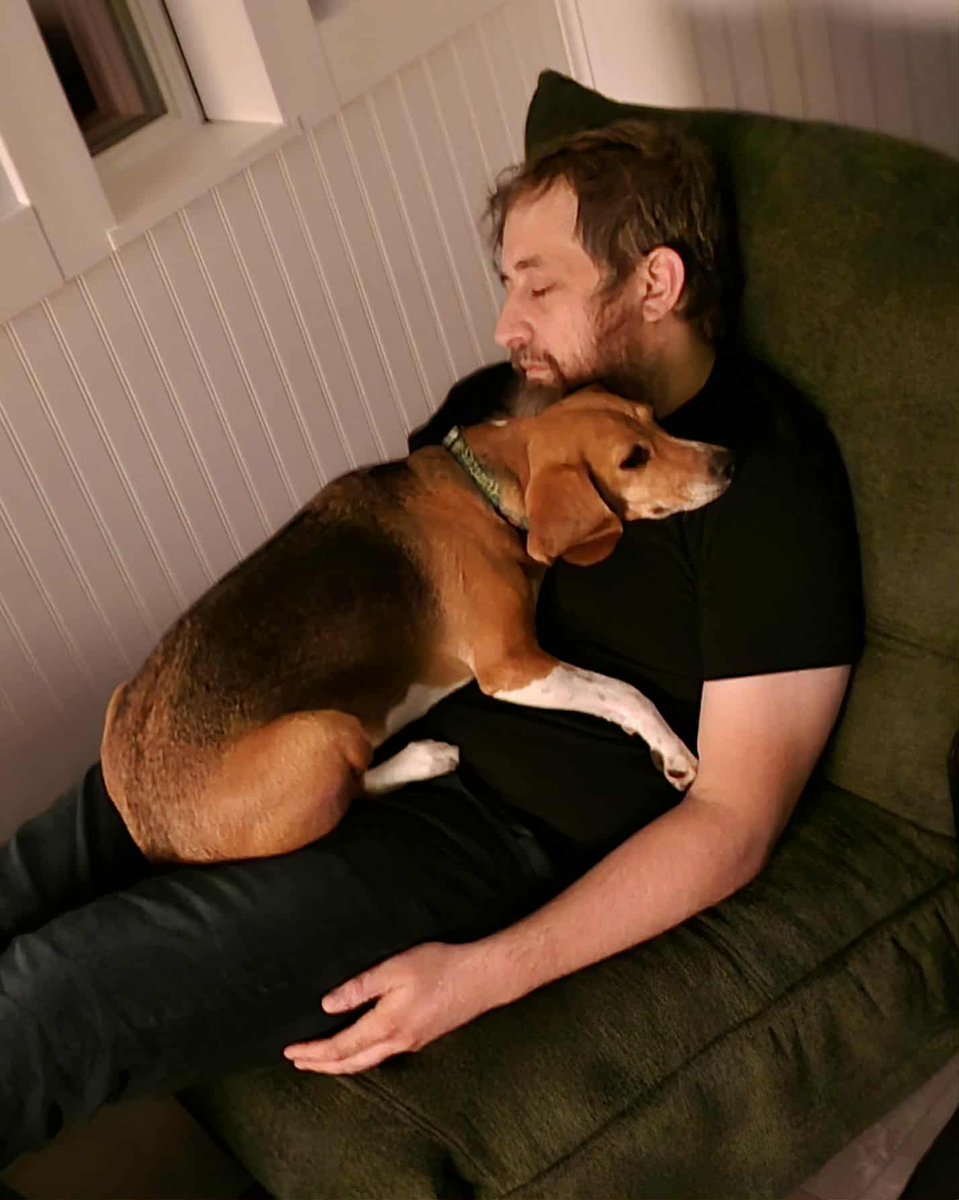 nerdimmersion's tweet image. Its ok to be jealous of my wild Friday night plans #nerdimmersion #beagle