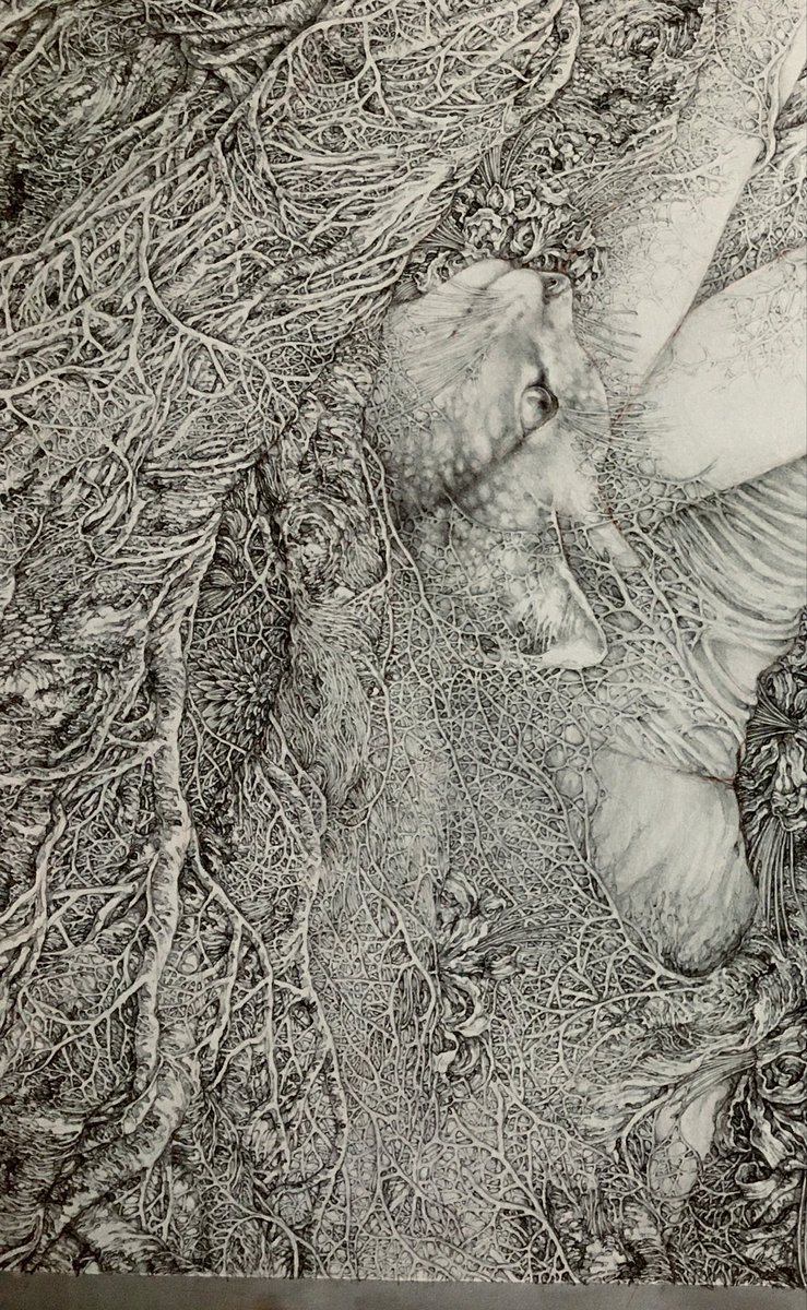 Ayaka YAMADA 山田彩加 (@YAMAD_ART) / Posts / X