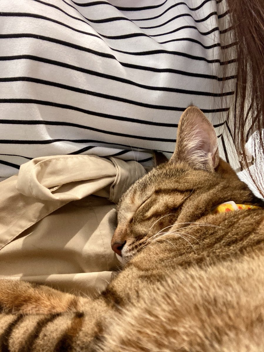 よっしー。様ページ ヨッシー (@AOGSDkw5Qmr1X51) / Posts / X