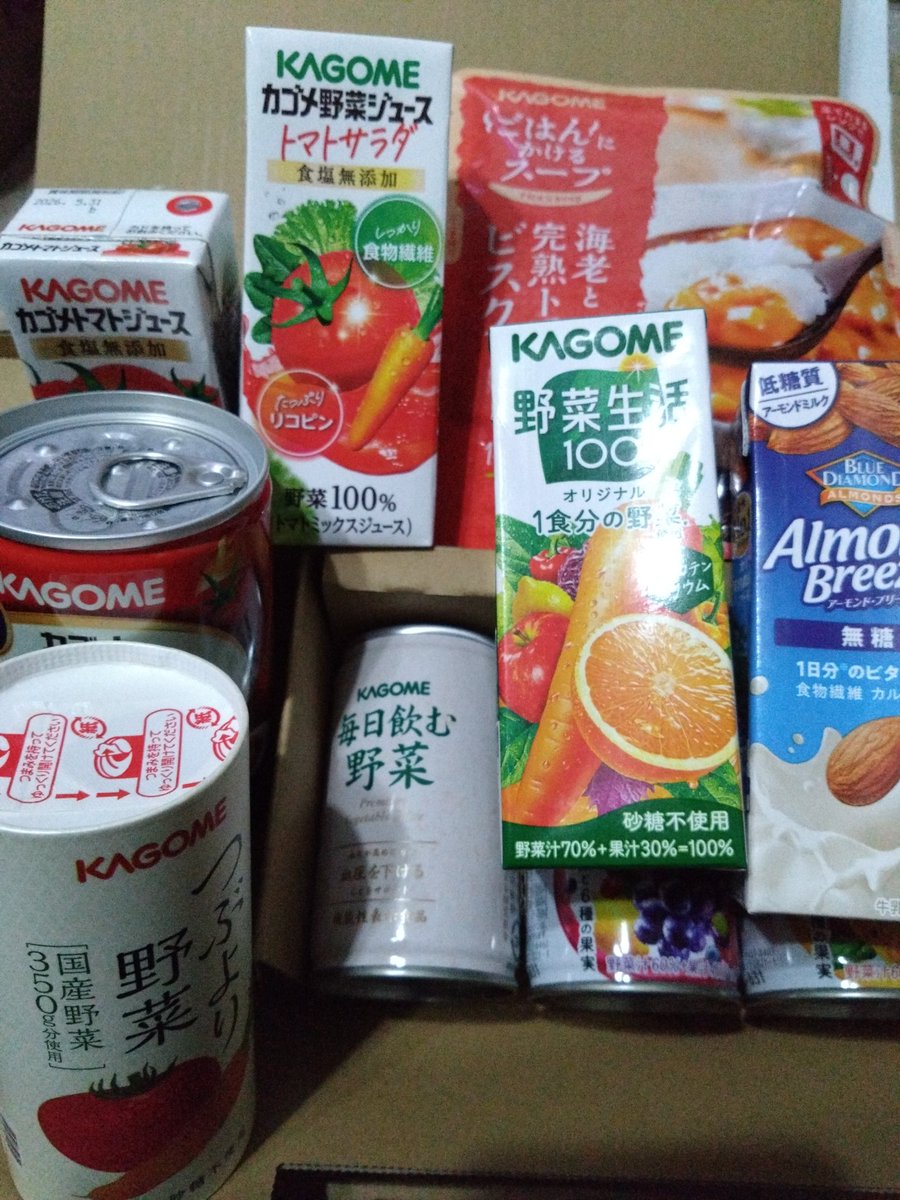 リザードン パネル 明治乳業 リザードン パネル 明治乳業