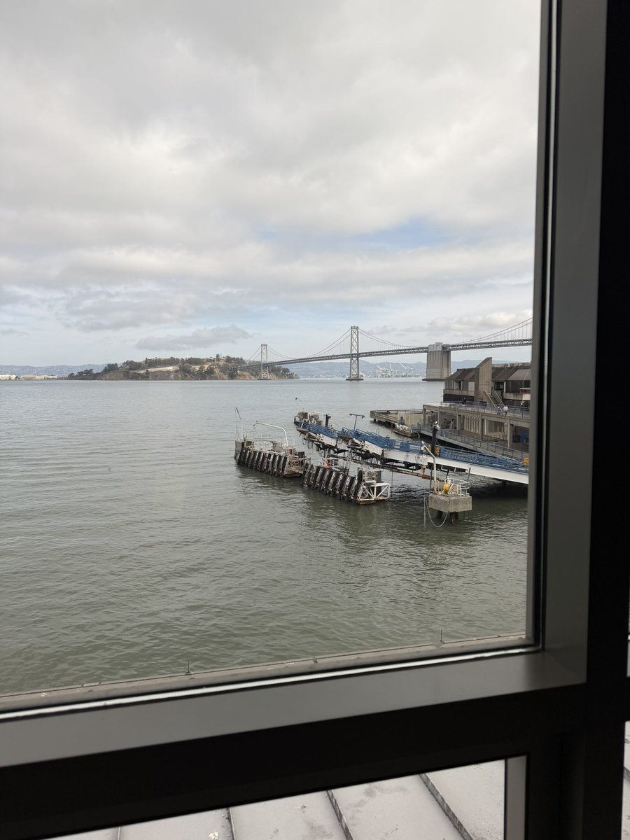 David Hoang tweet media