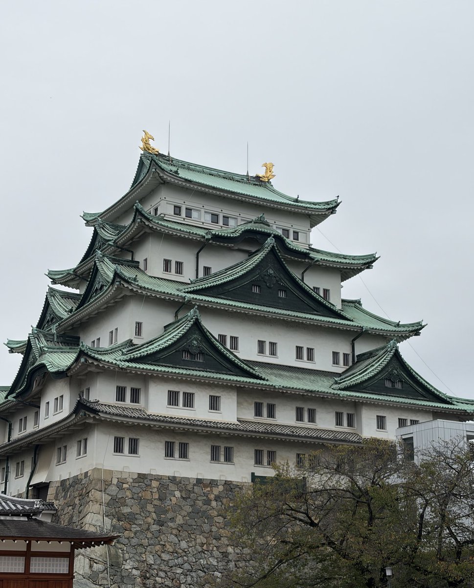 ❁⃘まるページ❁⃘ Fixing a poorly ZX-Spectrum (Part 7) - L