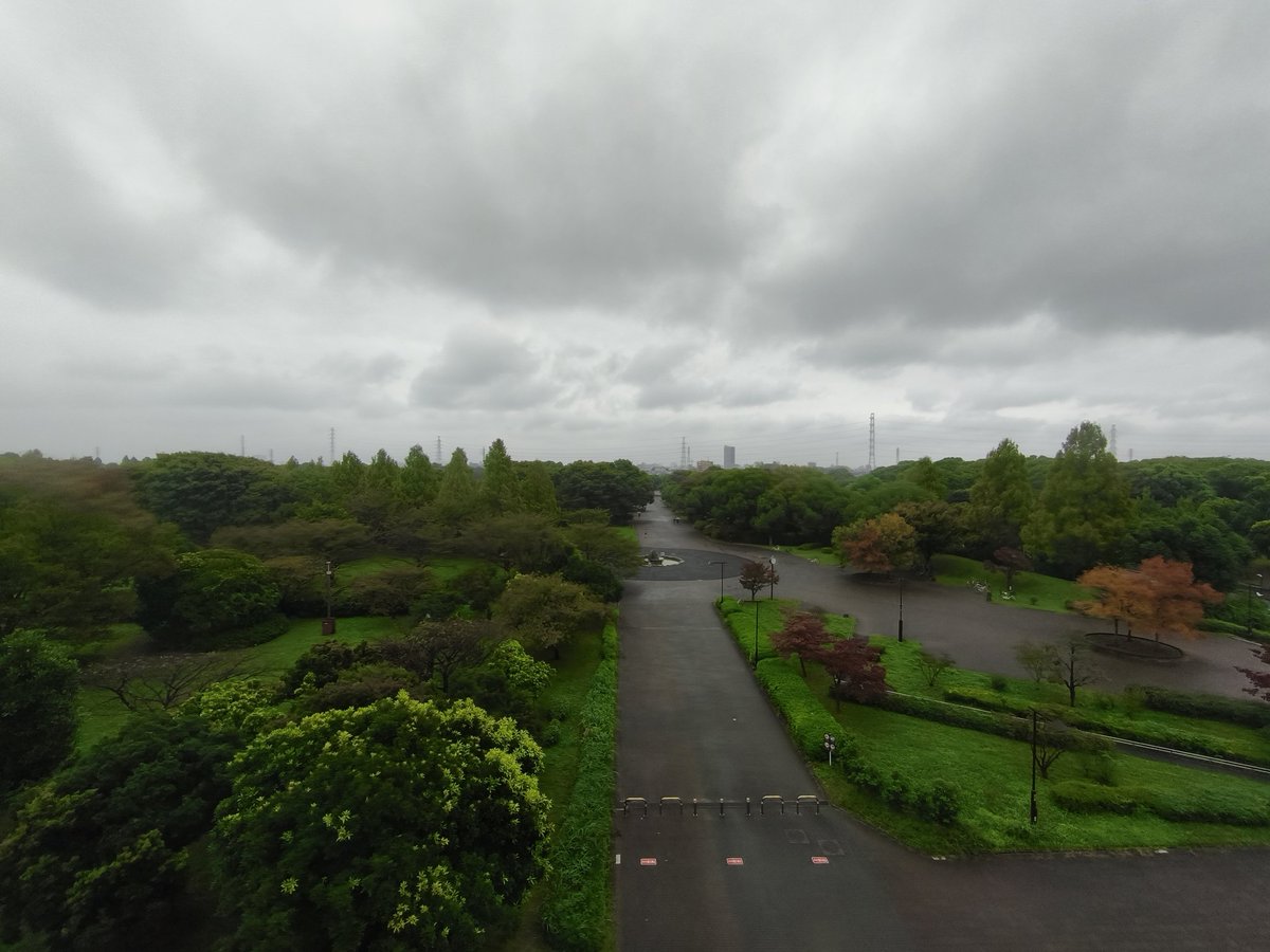 miki_mfb's tweet image. 雨です☔