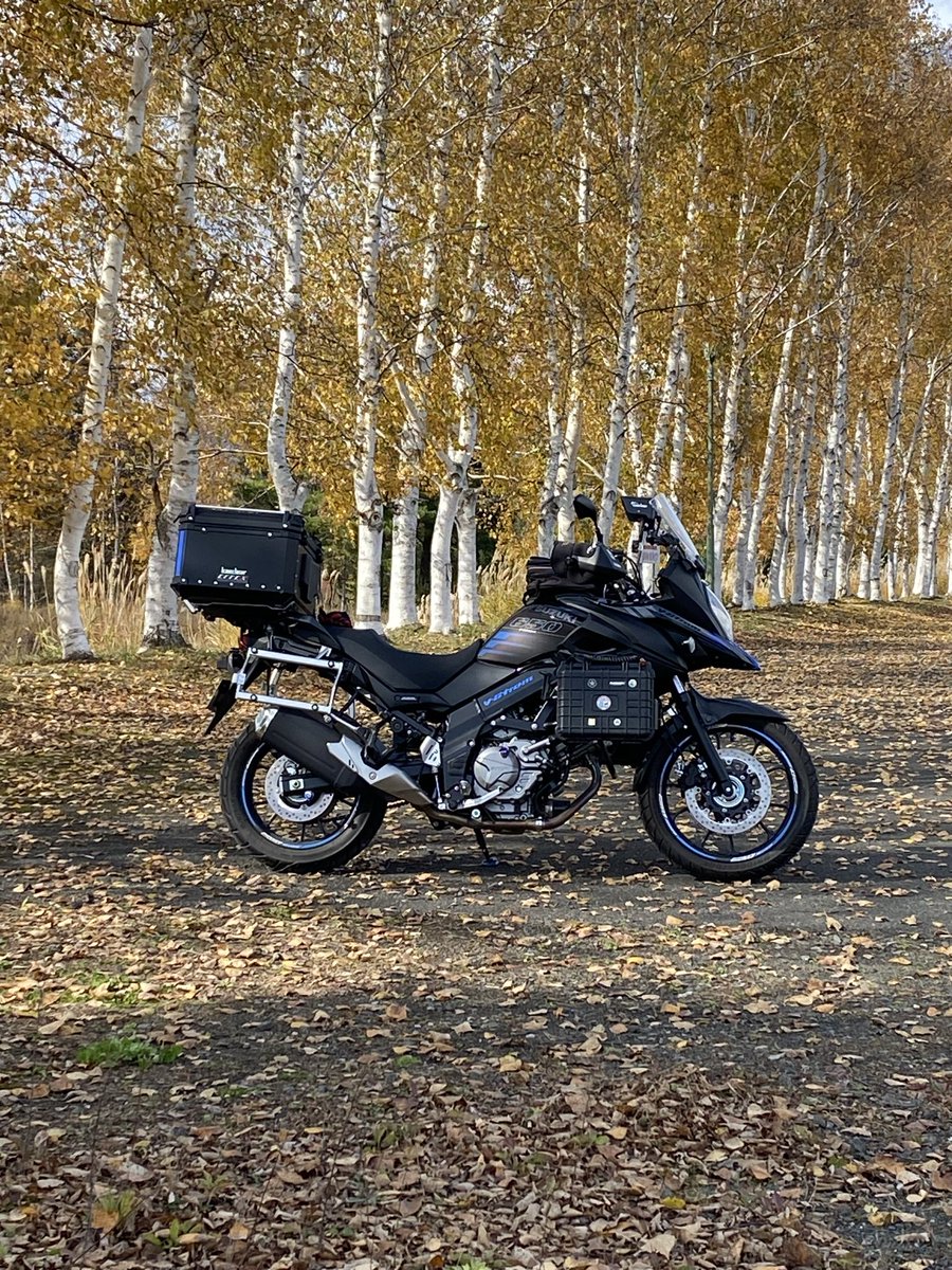 Shibe＠鈴菌感染V-Stromer (@il524PqWn2B1uE8) / Posts / X