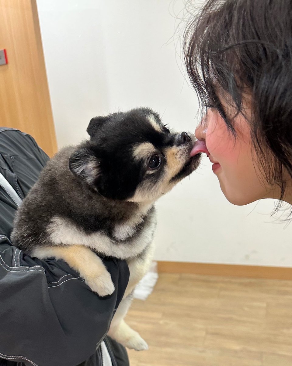 🐾🖤

#NMIXX #엔믹스 
#배이 #BAE