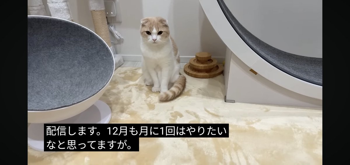 フォウ (@EMs5B5rXk3nxWbS) / Posts / X