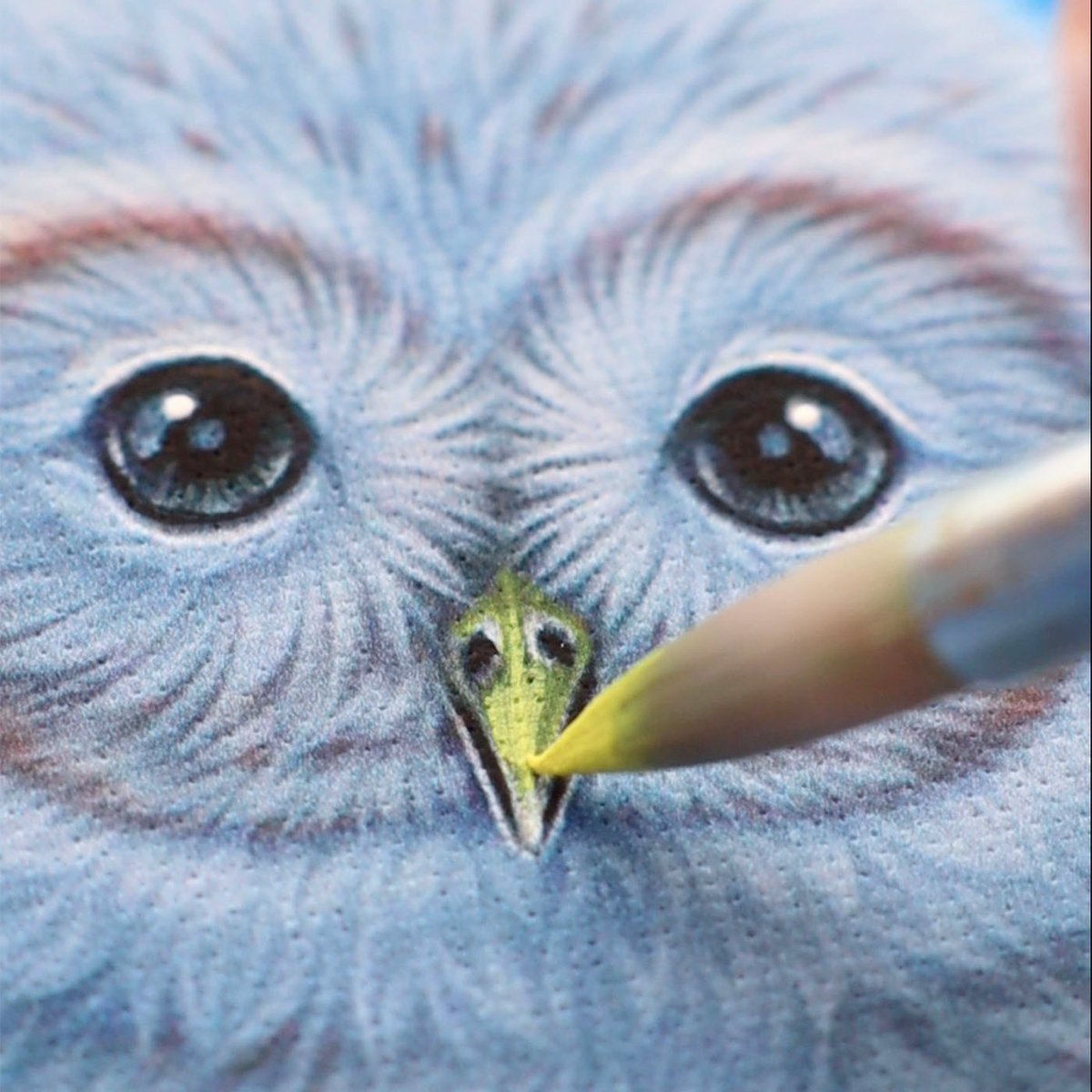 kentaro_art's tweet photo. “Moonnight” #Owls
「月夜の寄り添い」#フクロウ
月の光の下でフクロウ5羽が寄り添い過ごす姿を描いた作品です。
複製画をアートショップにて期間限定で販売中です。
https://t.co/wbSb9mmUId
#saveowls #owlart #moonart #kentaronishino #月絵 #フクロウ絵 #フクロウアート #西野健太郎 https://t.co/hbqvyvUL4B