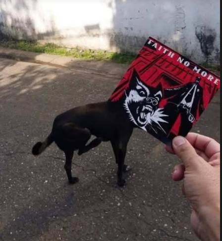 VanDoHalen's tweet image. 