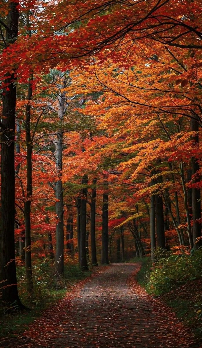 Wishing you a relaxing weekend 🍂