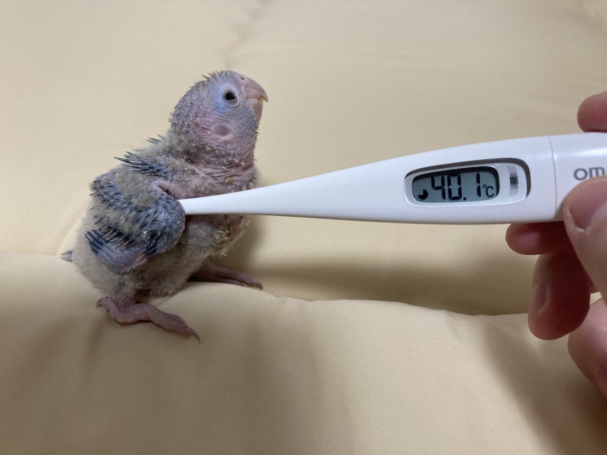 내가 좋아하는 사진 대방출.