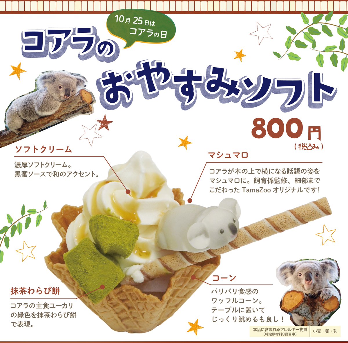 10月25日（土）はコアラの日です。多摩動物公園コアラ売店では