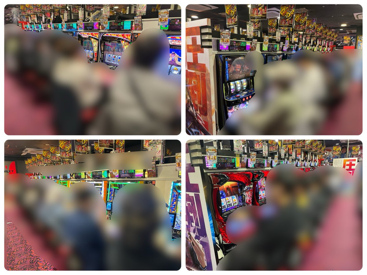 本日ラストチャンス❗️超絶希少❗️ムサノノピンクバリエガータ 新葉展開中✨️ Stream Touhou 東方 Innocent Key - Immoral Sister [背徳姉妹