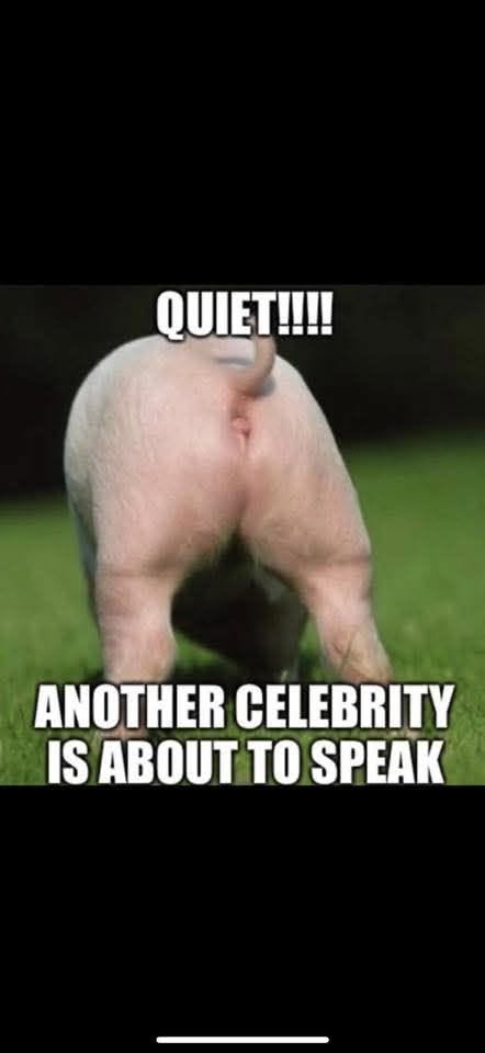 rubydoos2's tweet image. Exactly!