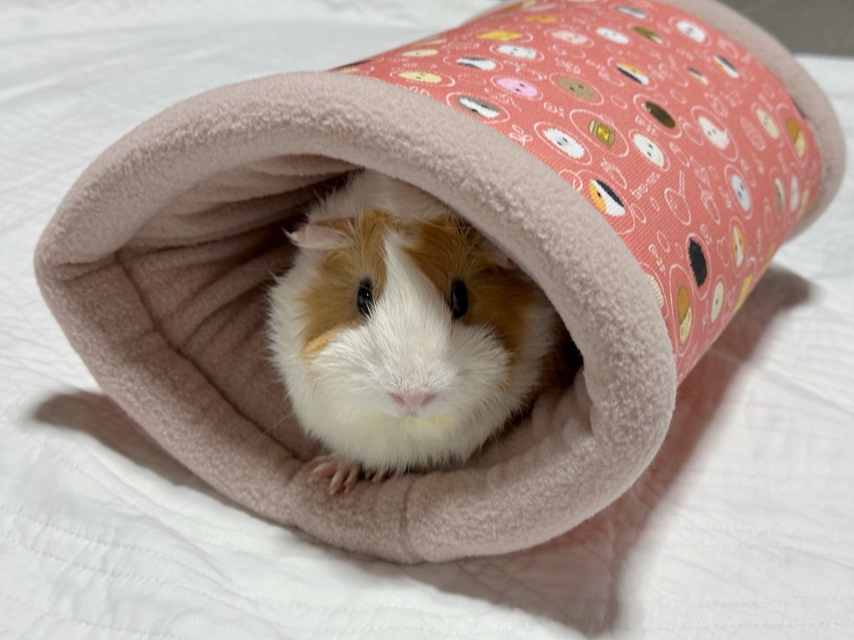 momorin絵画 rose on X