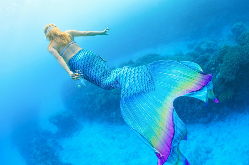 🫧【新記事公開】
辺野古・大浦湾——生物多様性の宝庫で、ジュゴン北限の海。
ジュゴンがいた海とそれを思うマーメイドが織りなす動画、作者・草地ゆきさんの想いを紹介します。

「好き」から始める環境アクションのヒントが詰まっています。

▶︎ 記事＆動画はこちら
🔗oceana.ne.jp/blue-economy/e…