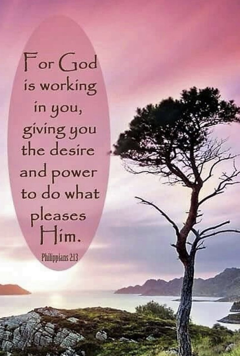 sharonePack's tweet image. PILLOW🌟#PROMISE💫