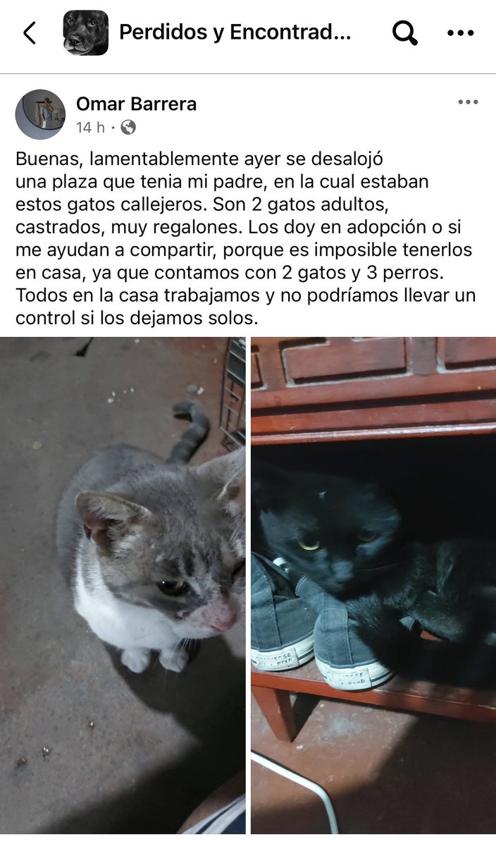 zig1758's tweet photo. 🚨🚨🚨🚨🚨🚨🚨🚨🚨🚨🚨🚨🚨#Antofagasta https://t.co/EB51tTkDHS