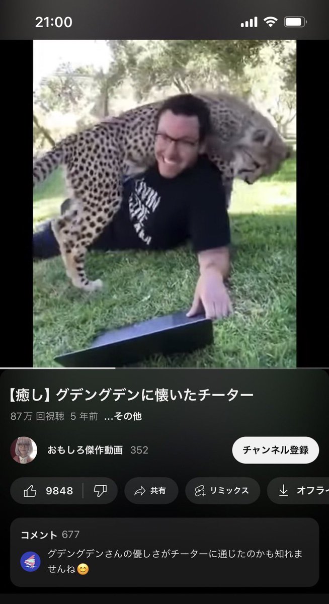 madaomoshiroi's tweet photo. このトップコメントまだ面白い https://t.co/v8jIVriIWY
