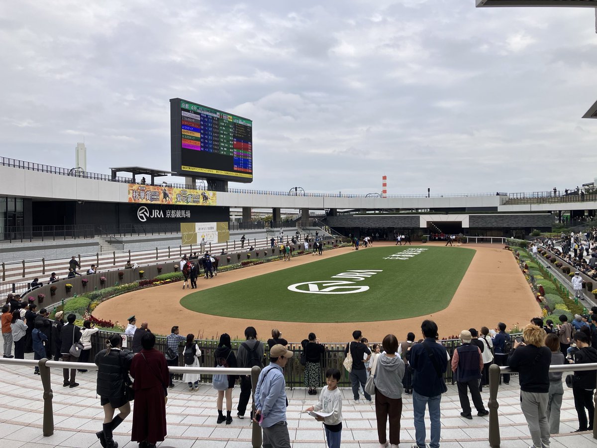 京都競馬場なう🏇