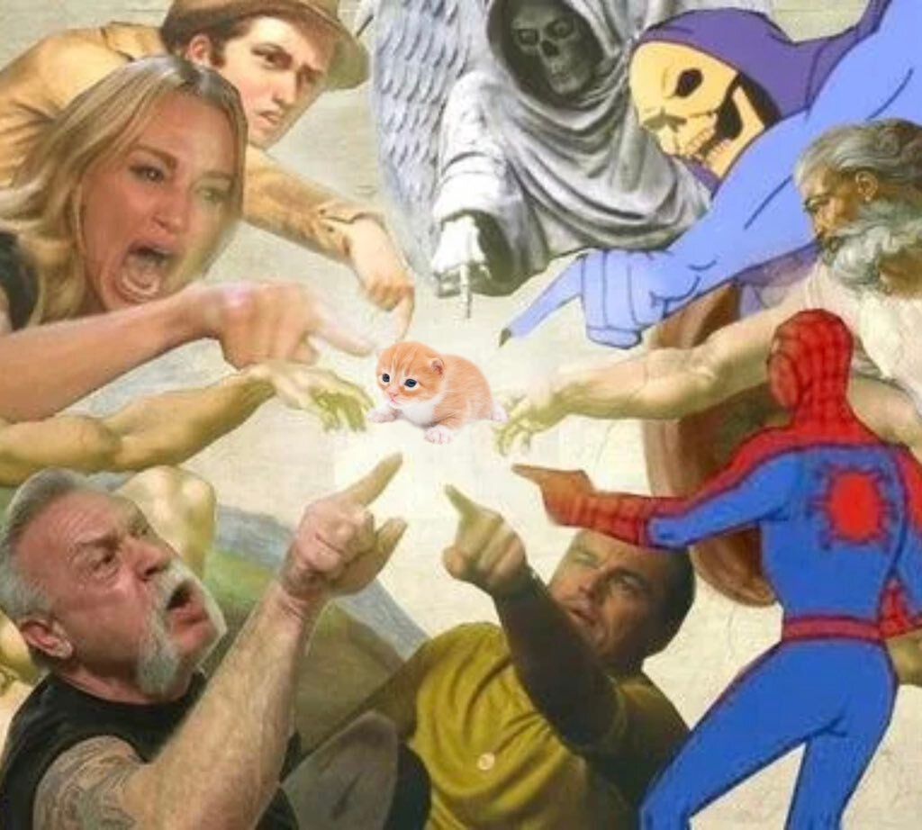 ShouldHaveCat's tweet image. 