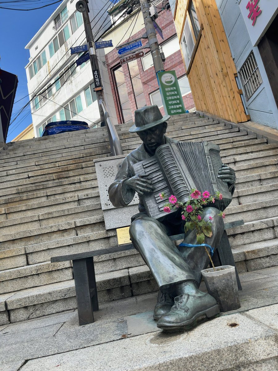 今日涼しくて快適、お天気も回復してお散歩が捗ります🚶‍♀️