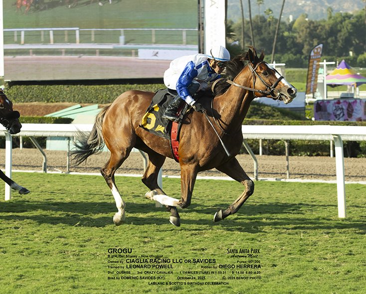 Grogu relished the added distance today and scored a decisive win over 1 1/4 mile <a href="/santaanitapark/">Santa Anita Park</a> to give the barn a winning exacta, with Oubabe getting the 🥈. Congrats to Owner/Breeder <a href="/Domsavides/">Domenic</a> and partner <a href="/JoeCiaglia/">Joe Ciaglia</a> . Great ride <a href="/JockeyHerrera/">Diego Herrera</a> . Thanks all involved !