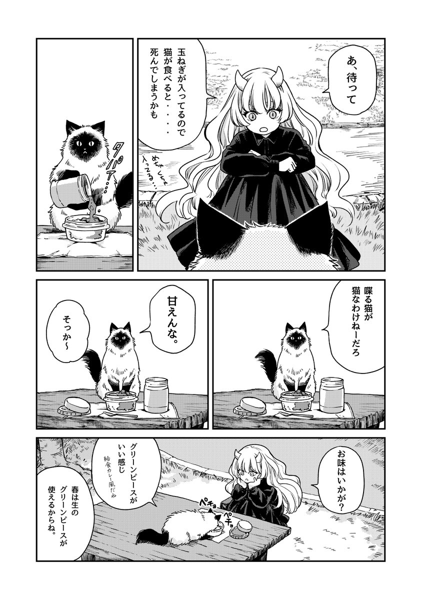 猫とカレーと曲がり角