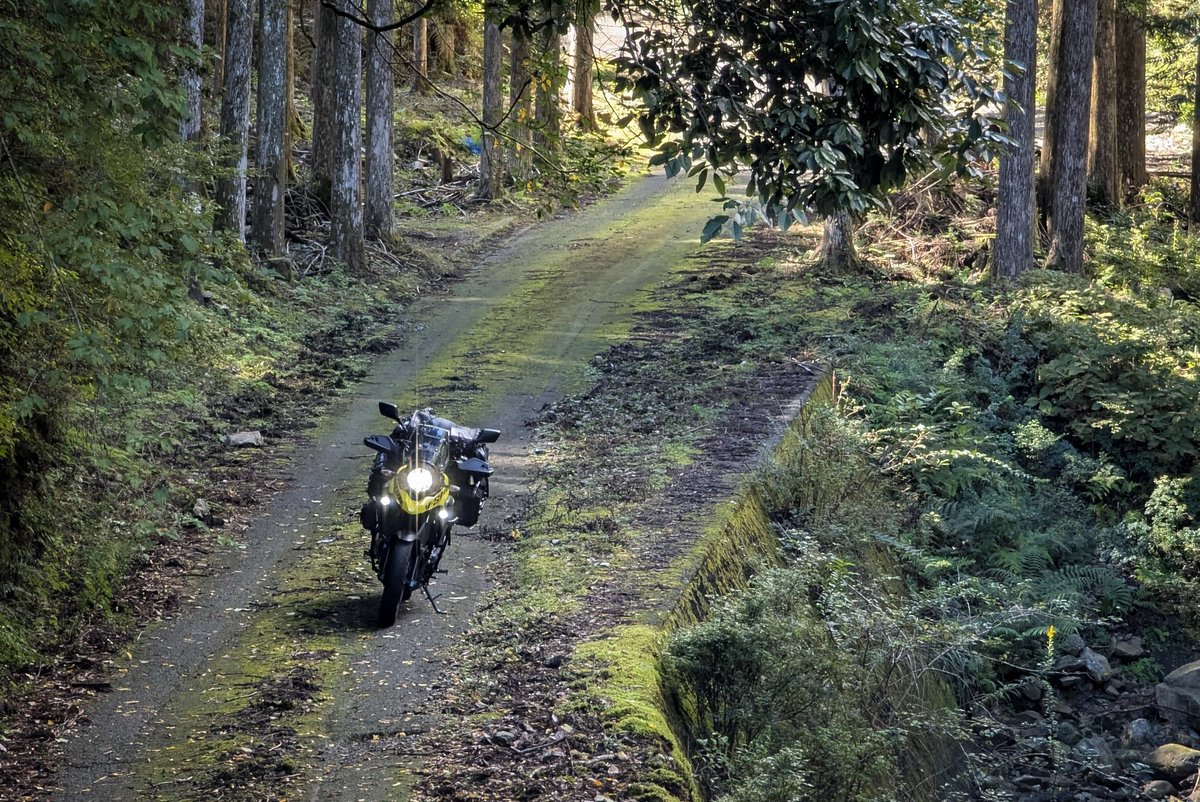 おみかん (@JurrieCherinka) / Posts / X