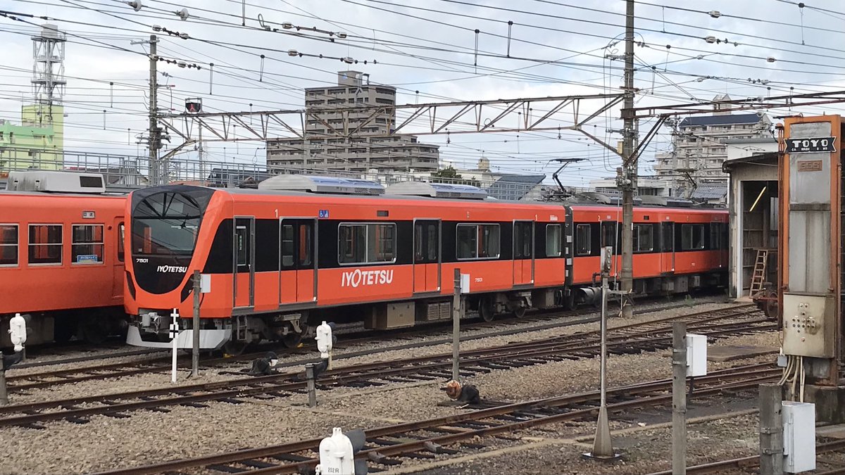 キティ委員長 on X