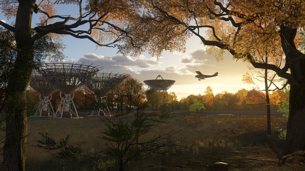 tsujiKa_air's tweet image. 葉の色変わらん地域もあるのね…
#MSFSchallenge