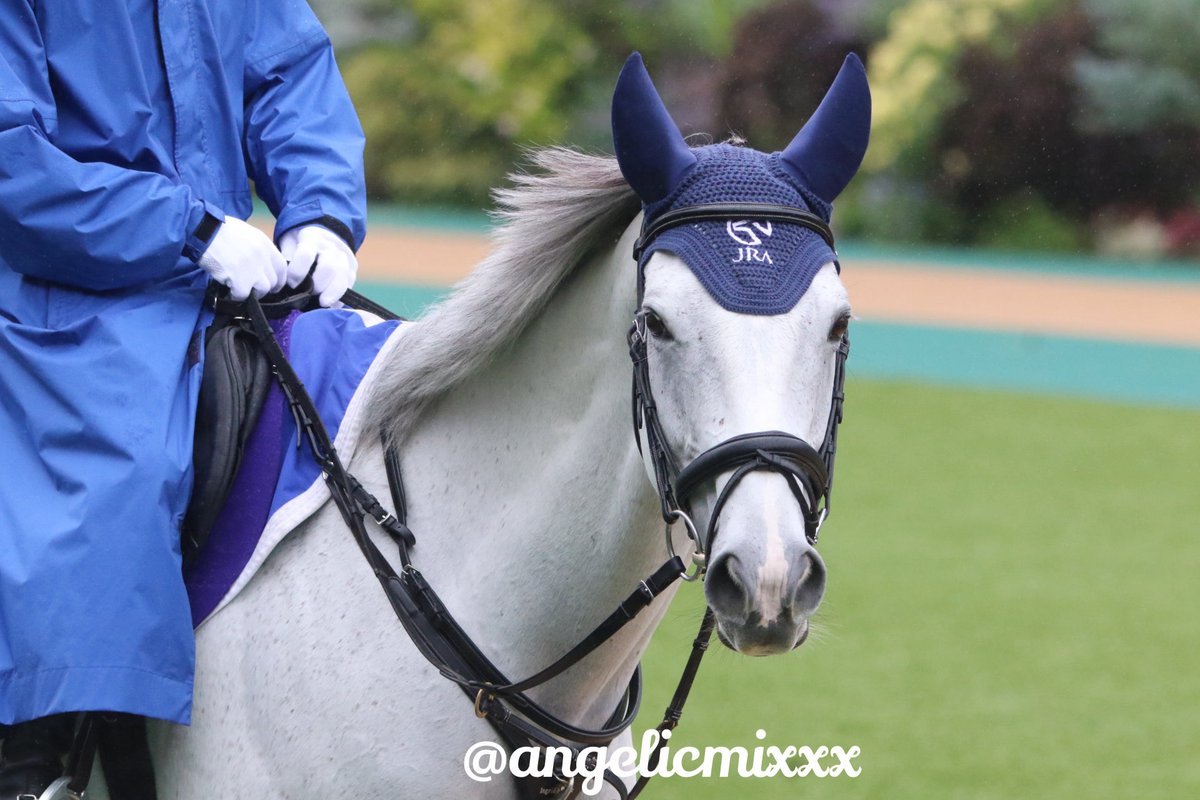 まさる  なおっしー(16歳) on X